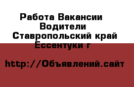 Работа Вакансии - Водители. Ставропольский край,Ессентуки г.